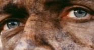 CineAvenue