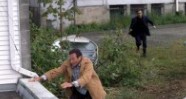 CineAvenue
