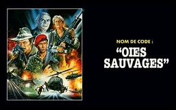 CineAvenue