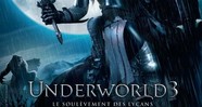 CineAvenue