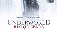 CineAvenue